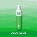 Flum Pebble Float Flavors 3000 Puffs Cool mint